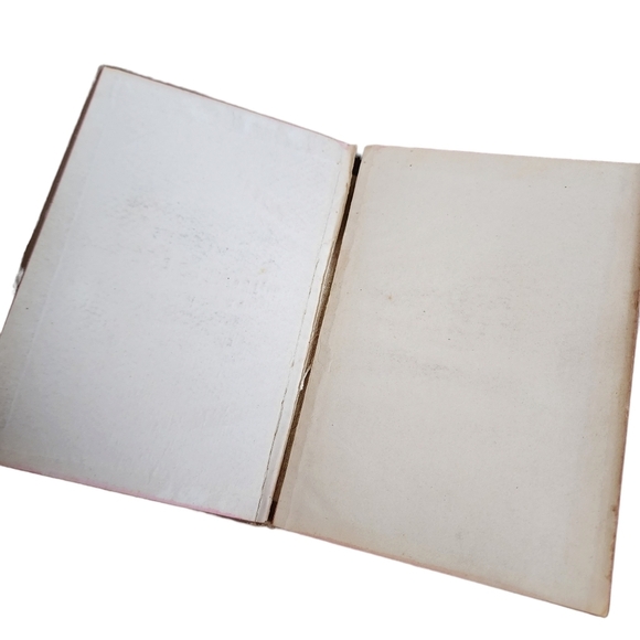 ANTIQUE x WM R WARNER'S Therapeutic Reference Book small hardback circa 1890 - Picture 11 of 16